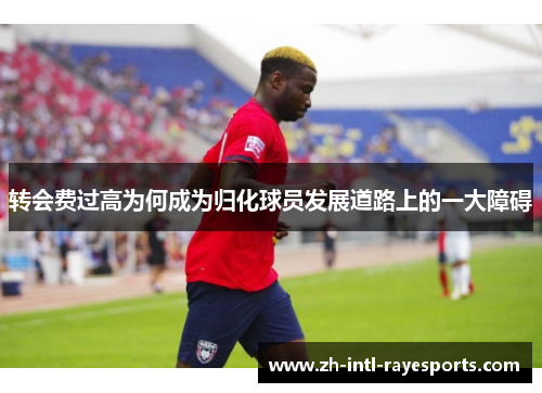 转会费过高为何成为归化球员发展道路上的一大障碍